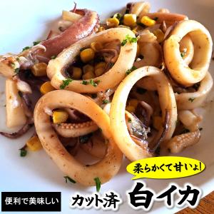 カット済・白イカ（生凍結タイプ）約300g　国産（山陰浜坂産）生冷凍　バーベキューに、炒め物に。甘くて柔らかい高級イカです。（いか、烏賊）｜matubagani