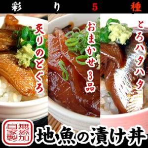 （送料無料）さかな屋自家製　天然魚介「地魚漬け丼」5...