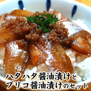 ハタハタ 卵の商品一覧 通販 Yahoo ショッピング