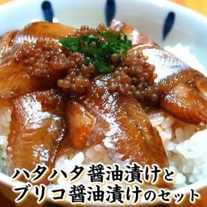 さかな屋自家製　「とろハタハタ漬け丼」と「ブリコ醤...