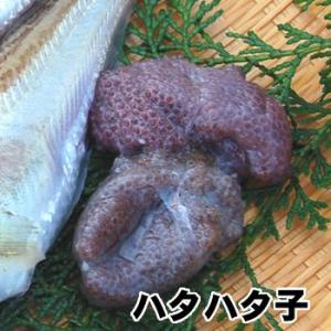 ハタハタ子（卵巣）（冷凍）　約100g　（浜坂産）　（魚卵、白ハタ、ぶりこ、ブリコ）