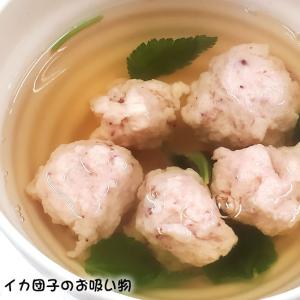 タコ イカ類 Matubagani