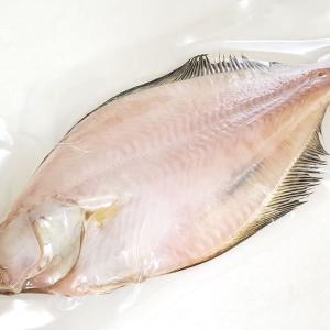 天日干しイテカレイ（冷凍）大サイズ　1枚入　約33-35cm程度　（干物）（いてかれい、えてかれい、エテカレイ、鰈）｜matubagani