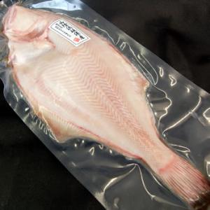 夢カサゴ（下処理済・冷凍）小 250g（2-4尾程度入り）（浜坂産