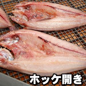 真ホッケ開き干し（冷凍）特大　１枚　約350-399ｇ（兵庫県浜坂産）　脂のってます　（ほっけ、一夜干し）｜matubagani