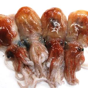 ミミイカ（冷凍）　小〜小小　500ｇ前後（20-25匹