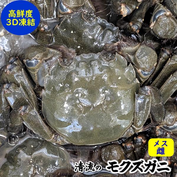 天然モクズガニ（生冷凍）メス　大　1匹（約140-159ｇ程度）（高鮮度3D凍結）（兵庫県産）（ツガ...