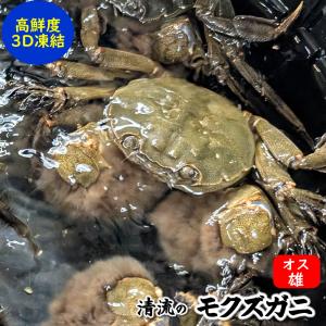 予約】 モクズガニ オス 大サイズ 5〜6匹 1kg〜 天然 活 生 上海ガニ
