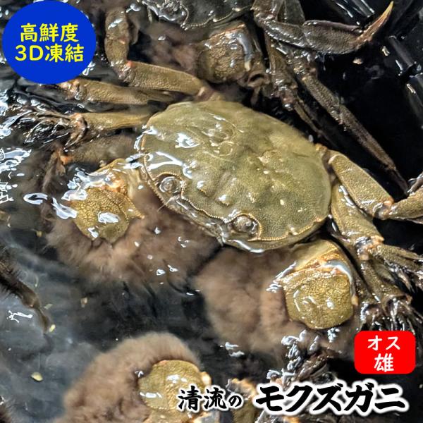 天然モクズガニ（生冷凍）オス　特大　１匹（300-350ｇ程度）（兵庫県産）（高鮮度3D凍結）（ツガ...