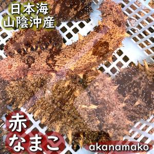 山米の赤なまこポン酢漬け(冷凍)1パック(山陰...の詳細画像1