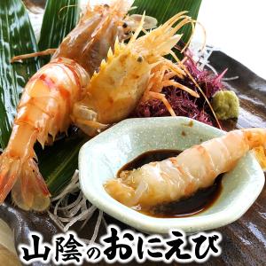 おにえび（冷凍）サイズ混ざり（約140ｇ）（お刺身可）（浜坂産）幻のエビといわれるほど希少（オニエビ、ゴジラエビ）｜matubagani