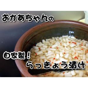 自家製 おかあちゃんの「らっきょう漬け」 約1...の詳細画像1