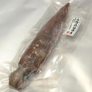 ヤリイカ（生冷凍）　１杯　胴長さ約28-30cm　（浜坂産）　（別名：ケンサキイカ、テナシイカ）｜matubagani