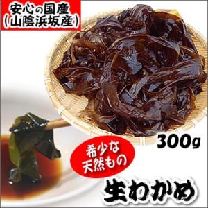 天然生わかめ（若布・ワカメ）（冷凍）約300g（浜坂産）天然わかめは市場に流通しているわかめの5〜7％程度（おさしみわかめ）｜matubagani