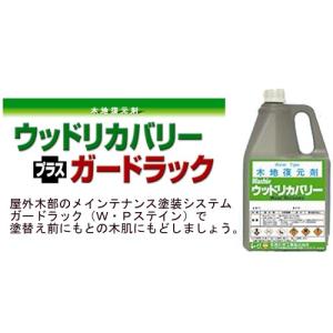 和信化学工業　　ウッドリカバリー　　2Ｌ