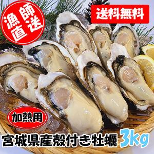 加熱用 宮城県産 殻付き牡蠣3kg（約38粒） 殻付き　牡蠣　カキ　加熱用　BBQ　キャンプ　アウトドア GW｜松島牡蠣養殖場