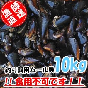 イガイ 貝の商品一覧 通販 Yahoo ショッピング