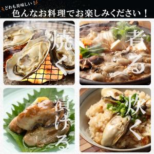 生食用 剥き身牡蠣 500g×2本 父の日 カ...の詳細画像2