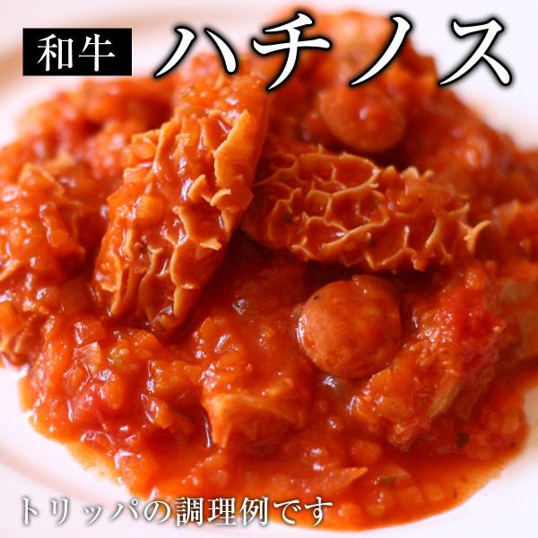 トリッパ ハチノス 500g 煮込み用 肉 素材 (第二胃)