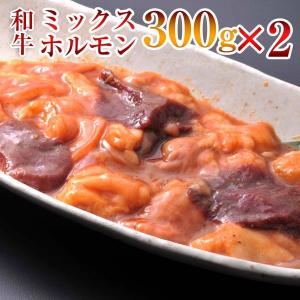 ホルモン ミックス 味付き 300g × 2 パック 合計600ｇ