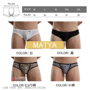 ビキニブリーフ 水着 極小 メンズ Tバック ...の詳細画像5