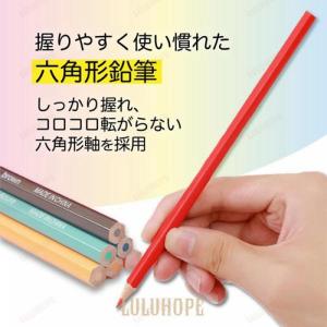 色鉛筆 セット 子供 プレゼント 50色 塗り...の詳細画像3