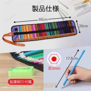 色鉛筆 セット 子供 プレゼント 50色 塗り...の詳細画像5