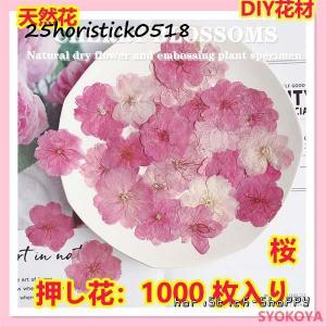 押し花 天然花 天然色 桜 ハンドメイド デコパーツ ドライフラワー DIY ネイル 押し花アート 化粧 乾燥シート 手芸 パーツ ブリザードフラワー UVレジン 1000枚