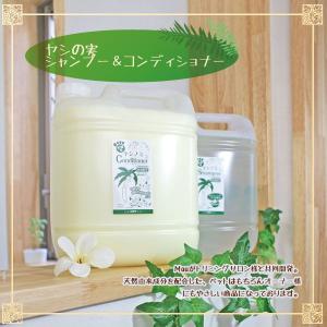 mauシャンプー Mauオリジナル ヤシの実シャンプー＆コンディショナー4L : オリジナル