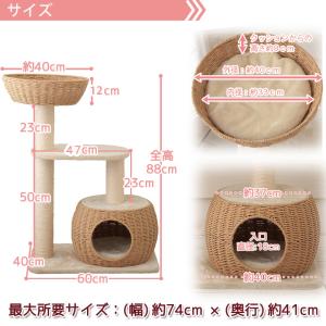 【Mauタワー シャルマン】キャットタワー カ...の詳細画像2