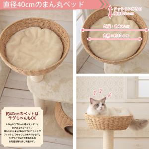 【Mauタワー シャルマン】キャットタワー カ...の詳細画像3
