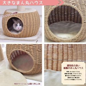 【Mauタワー シャルマン】キャットタワー カ...の詳細画像4