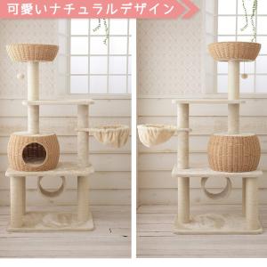 【スペシャルプライス28,544円→26,40...の詳細画像1