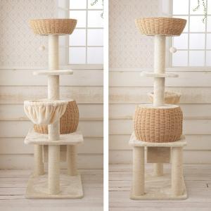 【スペシャルプライス28,544円→26,40...の詳細画像2