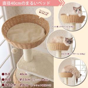 【スペシャルプライス28,544円→26,40...の詳細画像5