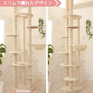 【Mauタワーエシェル】キャットタワー 人気 ...の詳細画像1
