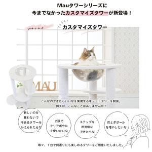 【スぺシャルプライス22735円→19800円...の詳細画像1