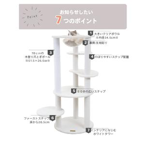 【スぺシャルプライス22735円→19800円...の詳細画像2