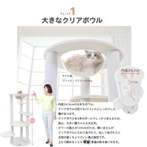 【スぺシャルプライス22735円→19800円...の詳細画像3