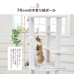 【スぺシャルプライス22735円→19800円...の詳細画像5