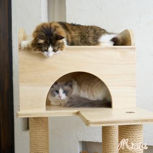 【Mauタワー国産桐シニアエスカリエ】キャット...の詳細画像4
