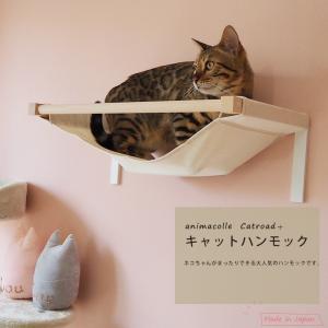 ワイドステップ（クリア）キャットウォーク 賃貸OK DIY 運動不足解消