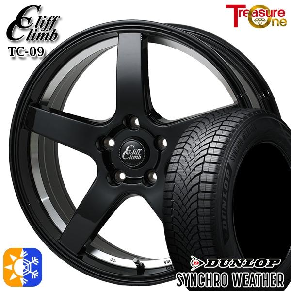 オールシーズンタイヤ ホイール4本セット 225/50R17インチ 5H114 トレジャーワン クリ...