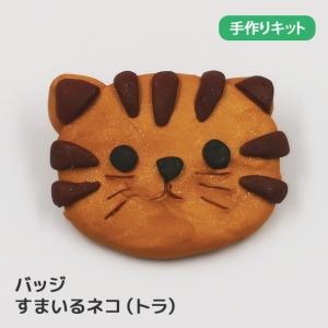 アシーナ スカルピー3手づくりキット すまいるネコ トラ 簡単 キット オーブン粘土 オーブンクレイ 樹脂粘土 動物 ネコ 猫 バッジ 夏休み工作 最安値 価格比較 Yahoo ショッピング 口コミ 評判からも探せる