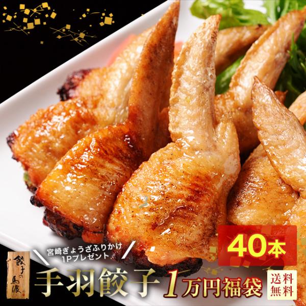 数量限定【2026年新春1万円福袋】 手羽餃子４0本【送料無料】《特典付き》宮崎ぎょうざふりかけ1P...