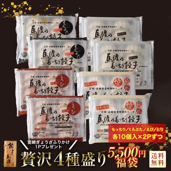数量限定【2026年新春福袋】贅沢４種盛り福袋【送料無料】《特典付き》宮崎ぎょうざふりかけ1Pプレゼ...