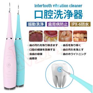口腔洗浄器 ジェットウォッシャー 歯ぐきケア 本入携帯充電式防水IPX6