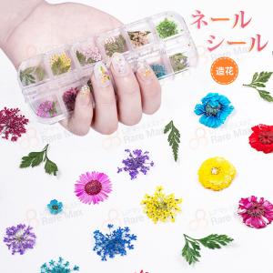 押し花乾燥シートの商品一覧 通販 Yahoo ショッピング