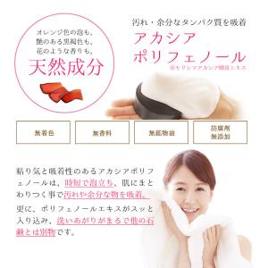 アカシアポリフェノール 美容・保湿成分 38%...の詳細画像3