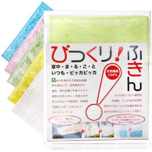 30kgタイプ】桐職人 竹本力雄作 総桐米びつ 防湿 防虫 ライス